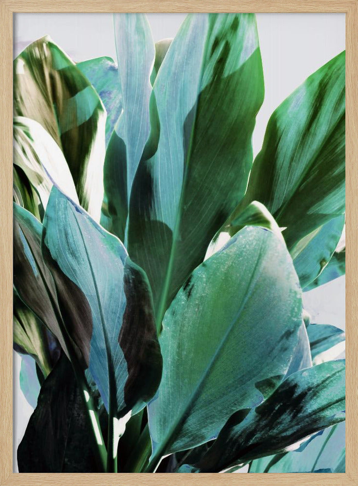 Green Leaves I | Poster