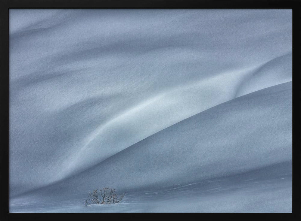 slopes in winter | Poster