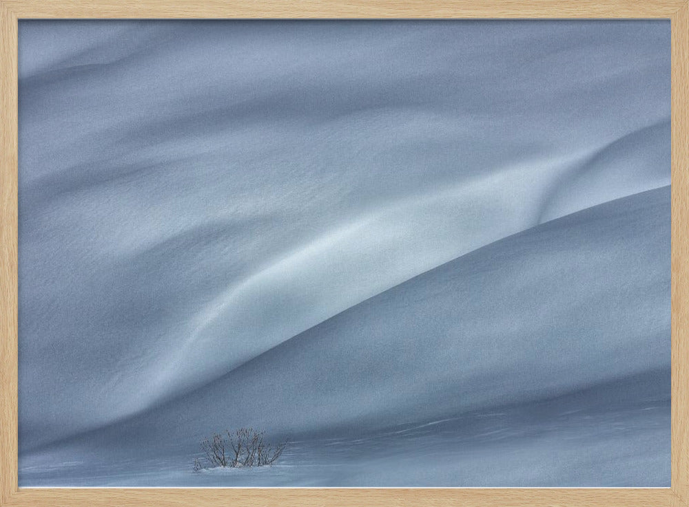 slopes in winter | Poster