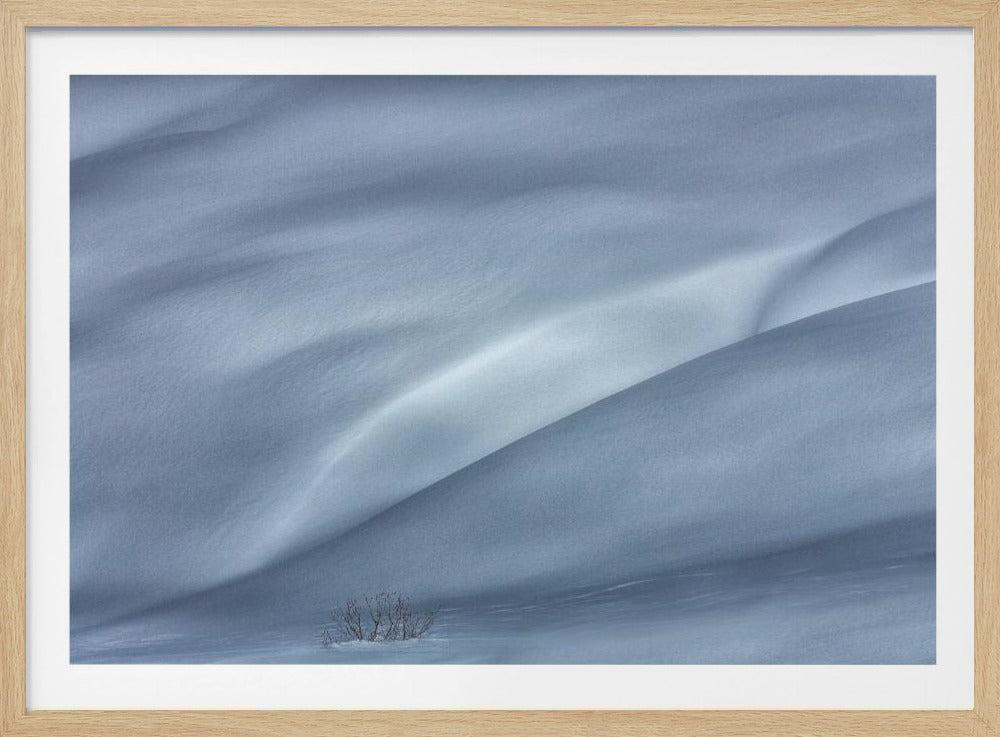 slopes in winter | Poster