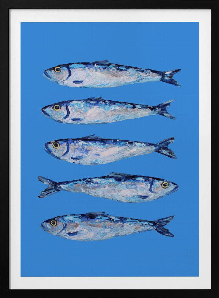 Sardines on Blue | Poster