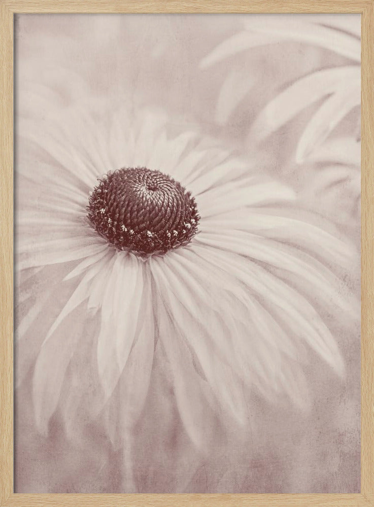 Reminiscence | Poster