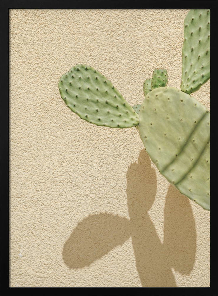 Cacti Shadowplay | Poster
