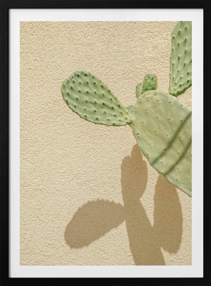 Cacti Shadowplay | Poster