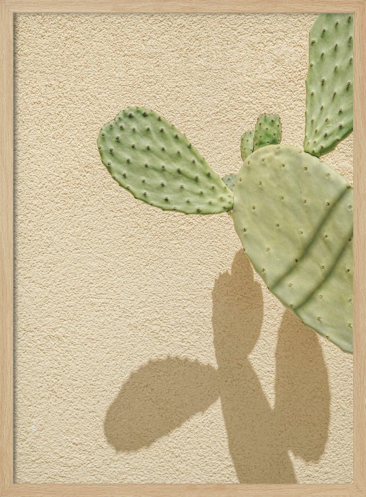 Cacti Shadowplay | Poster