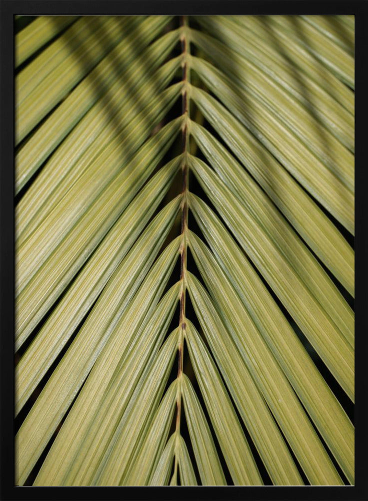 Tropical Leaf | Poster