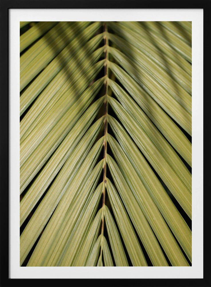 Tropical Leaf | Poster