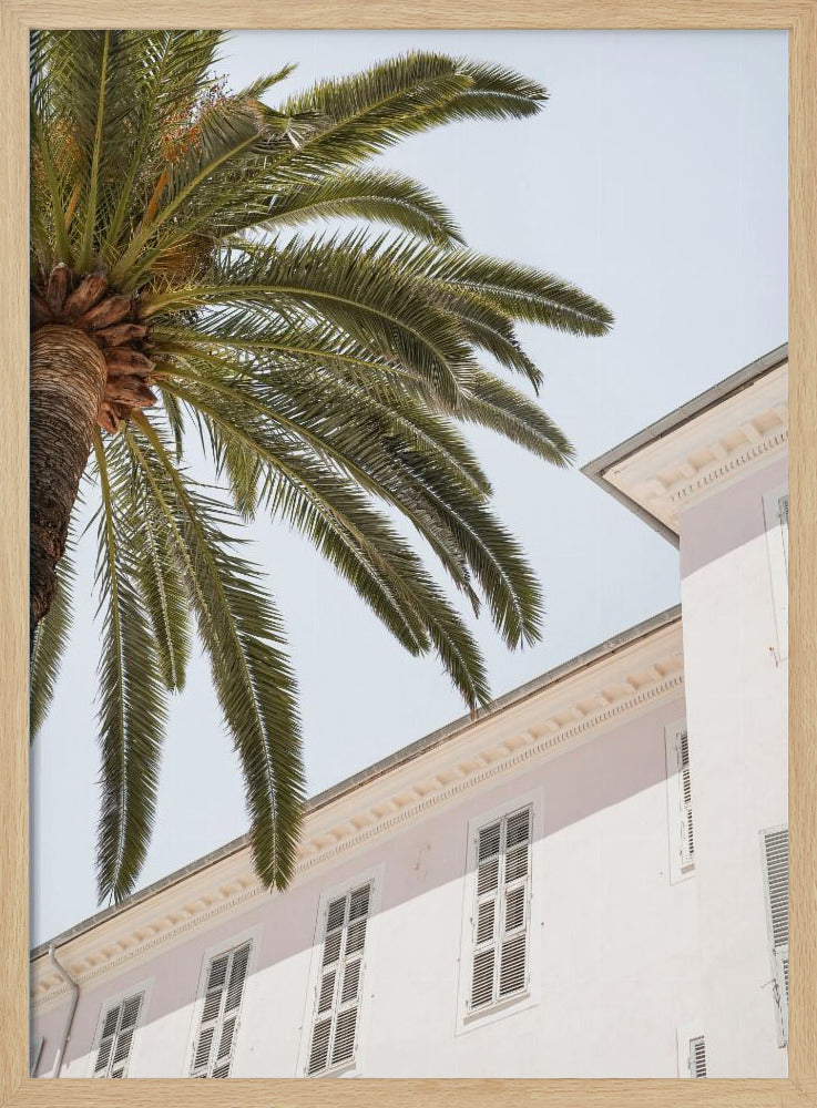 Tropical Menton | Poster