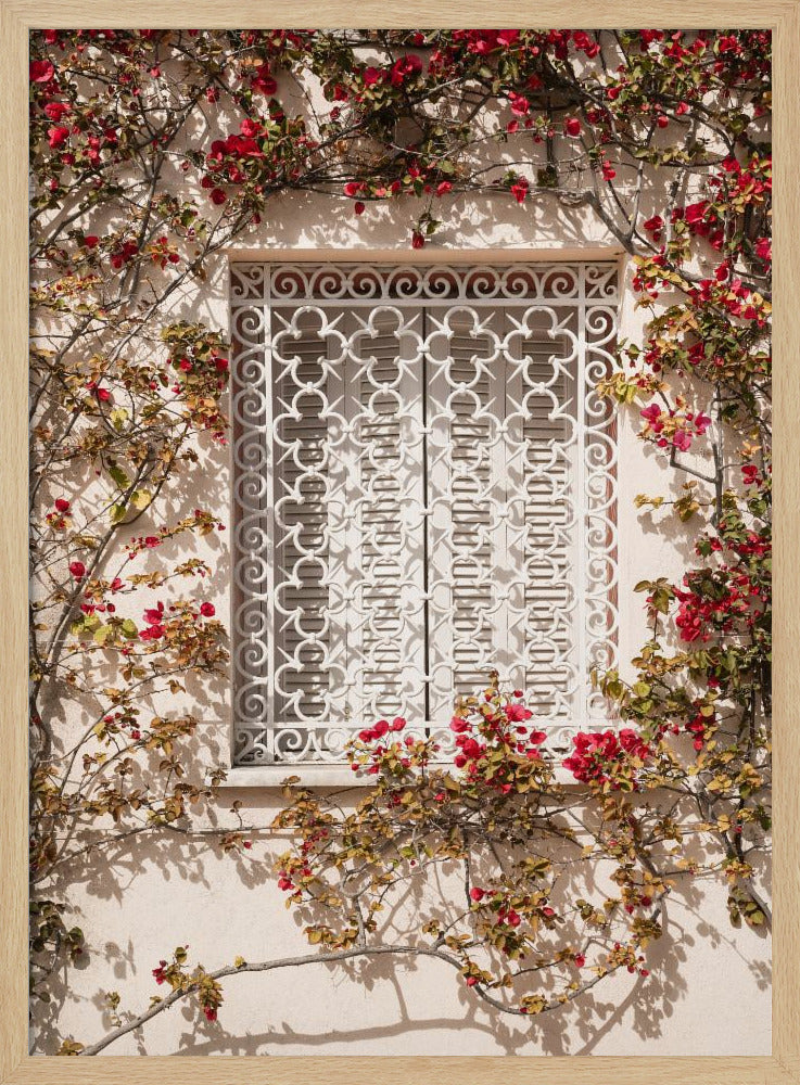 The Red Frame | Poster