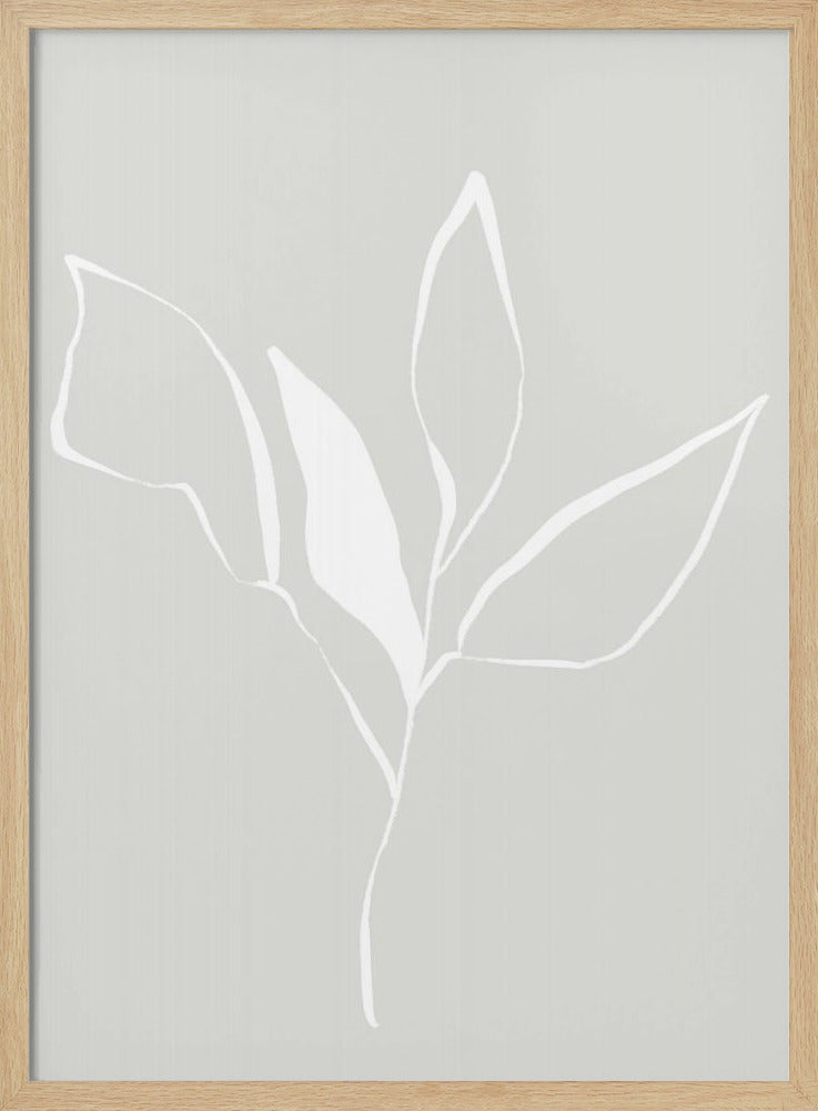 Whispers of Nature With Soft Flower | Poster