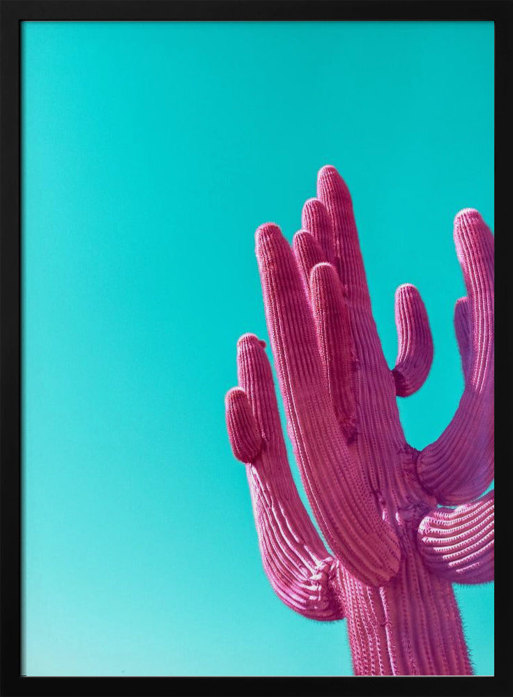 Magenta Pink Saguaro | Poster