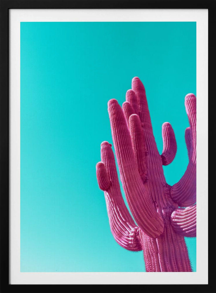 Magenta Pink Saguaro | Poster