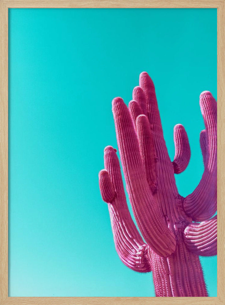 Magenta Pink Saguaro | Poster