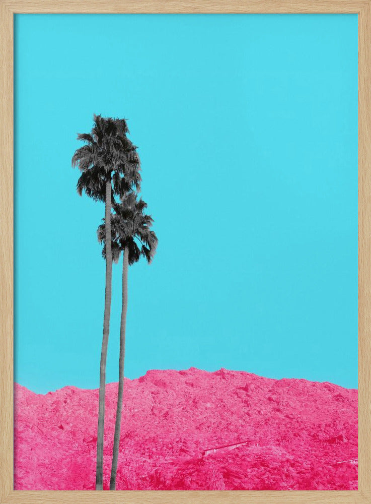 No Gray Dayz | Poster