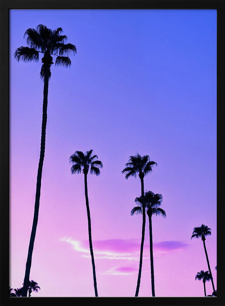 Palm Tree Sunset | Poster