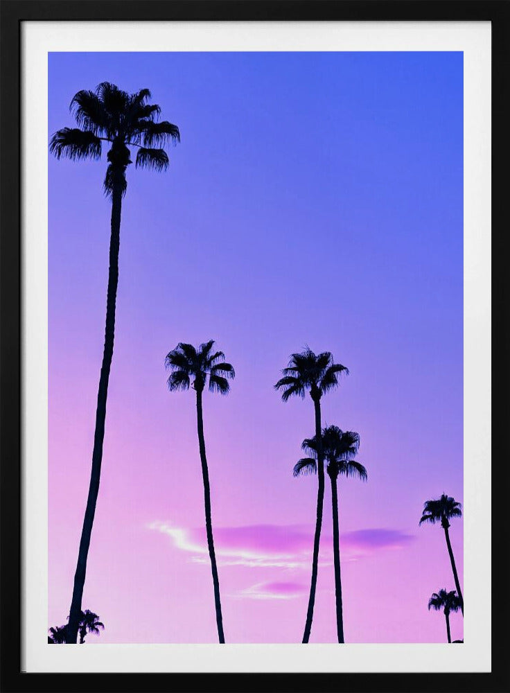 Palm Tree Sunset | Poster