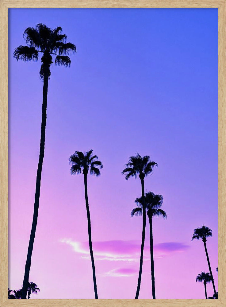 Palm Tree Sunset | Poster