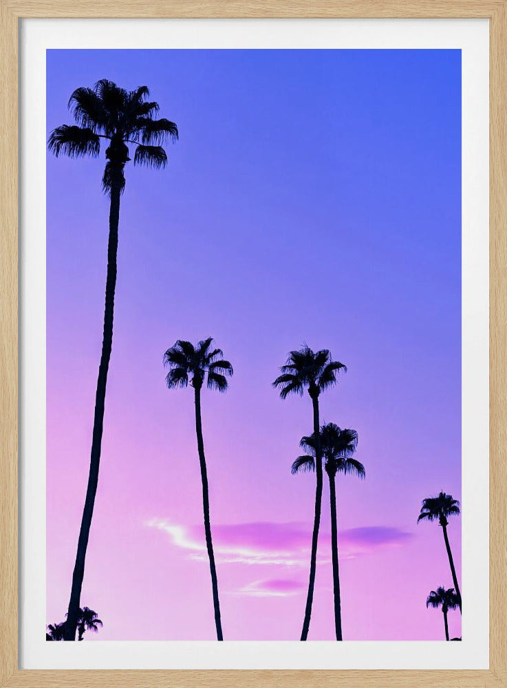 Palm Tree Sunset | Poster