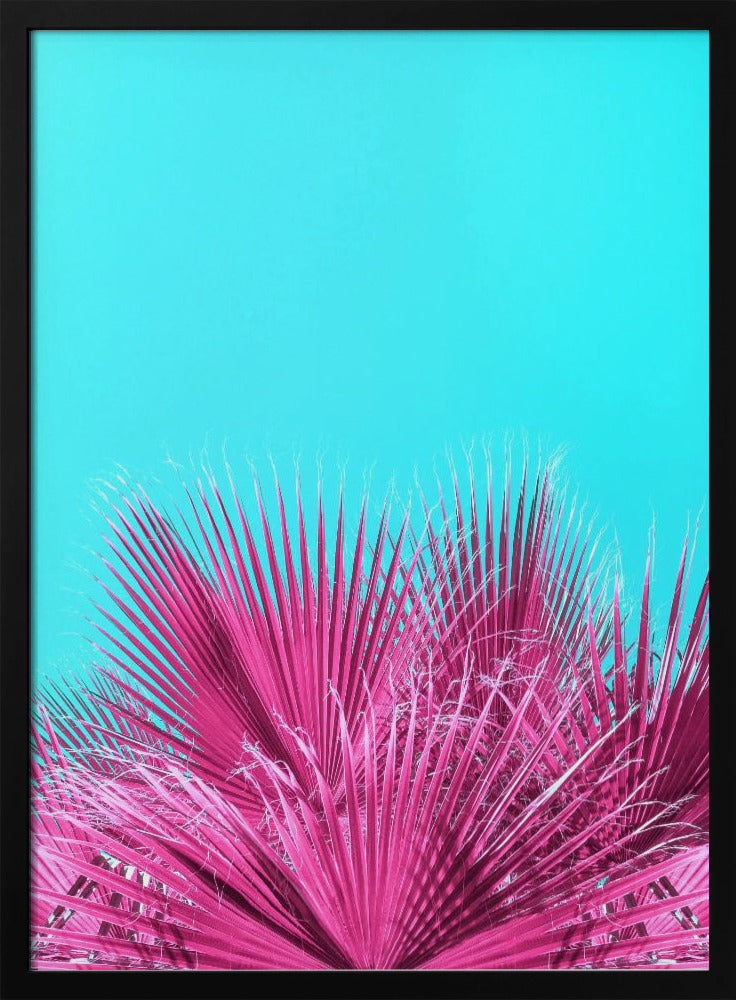 Electric Pink Palm Fronds | Poster