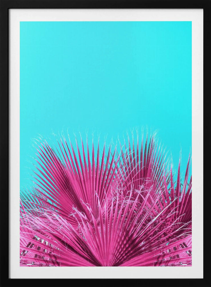 Electric Pink Palm Fronds | Poster