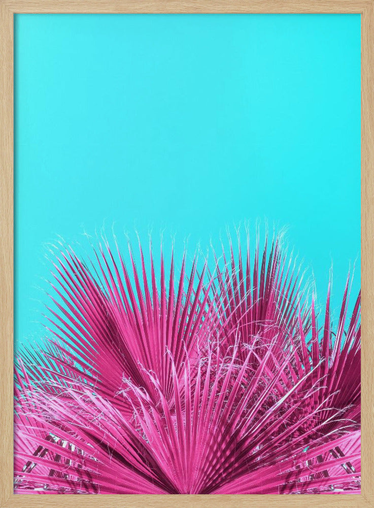 Electric Pink Palm Fronds | Poster
