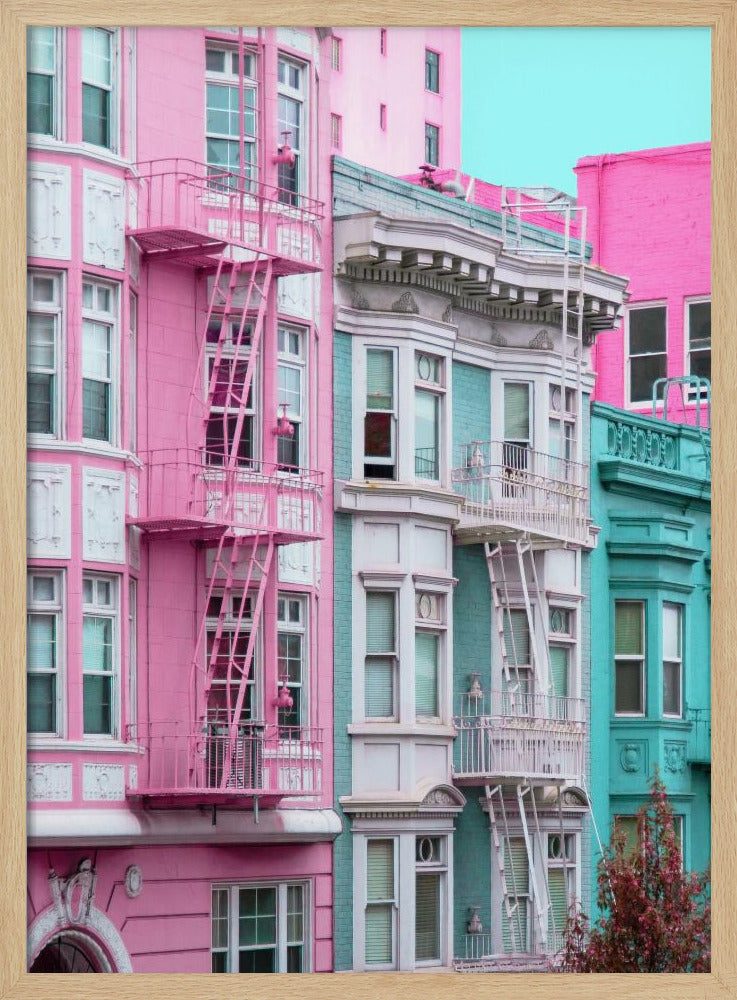Pink and Blue Row Houses in San Francisco | Poster