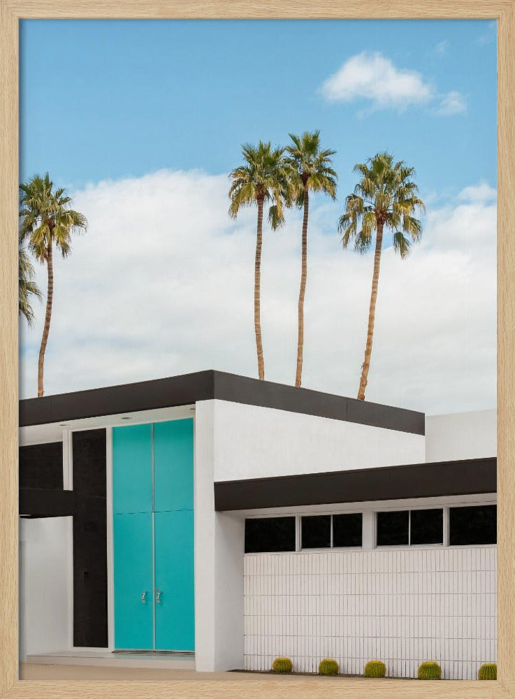 Turquoise Blue Doors on a Modern Home | Poster