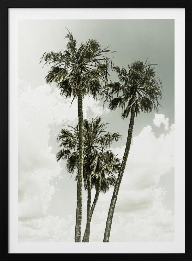 Palm Trees and sky | Vintage | Poster
