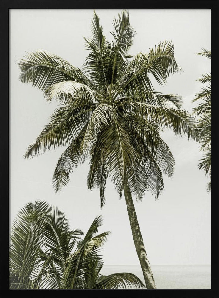 Palm Trees by the ocean | Vintage | Poster