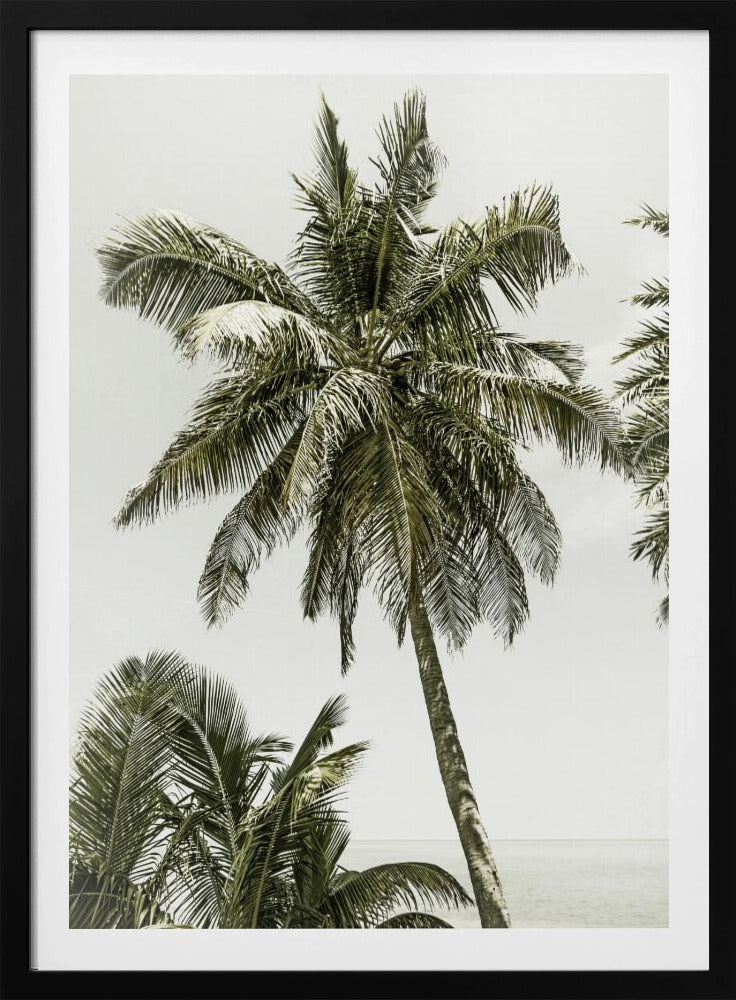 Palm Trees by the ocean | Vintage | Poster