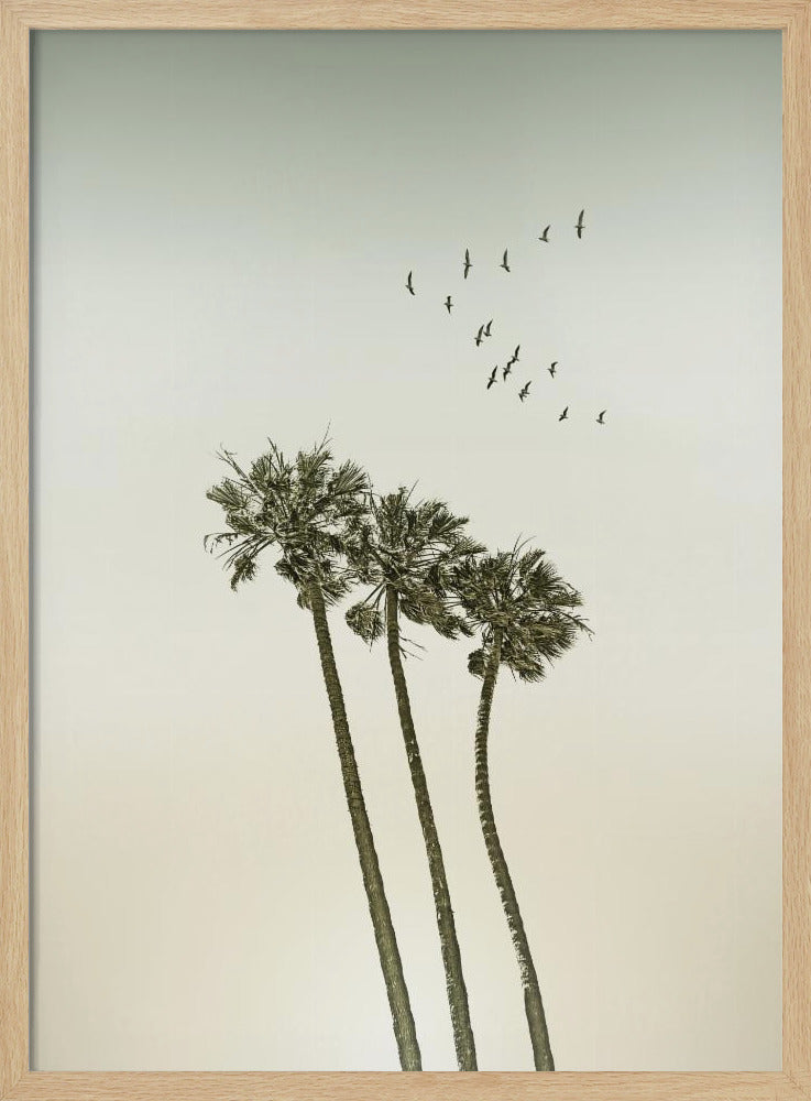 Vintage minimalist palm trees &amp; sunset | Poster