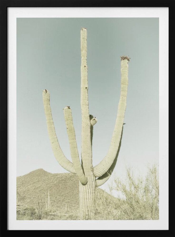 SAGUARO NATIONAL PARK Vintage Giant Saguaro | Poster