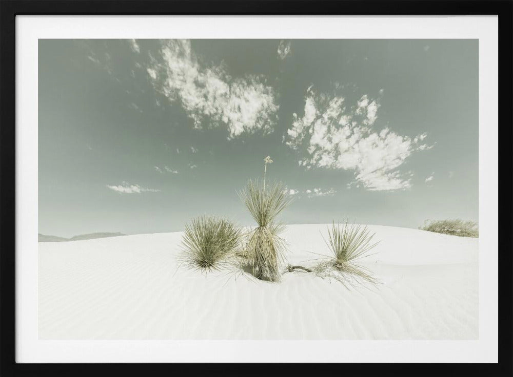 WHITE SANDS Vintage | Poster