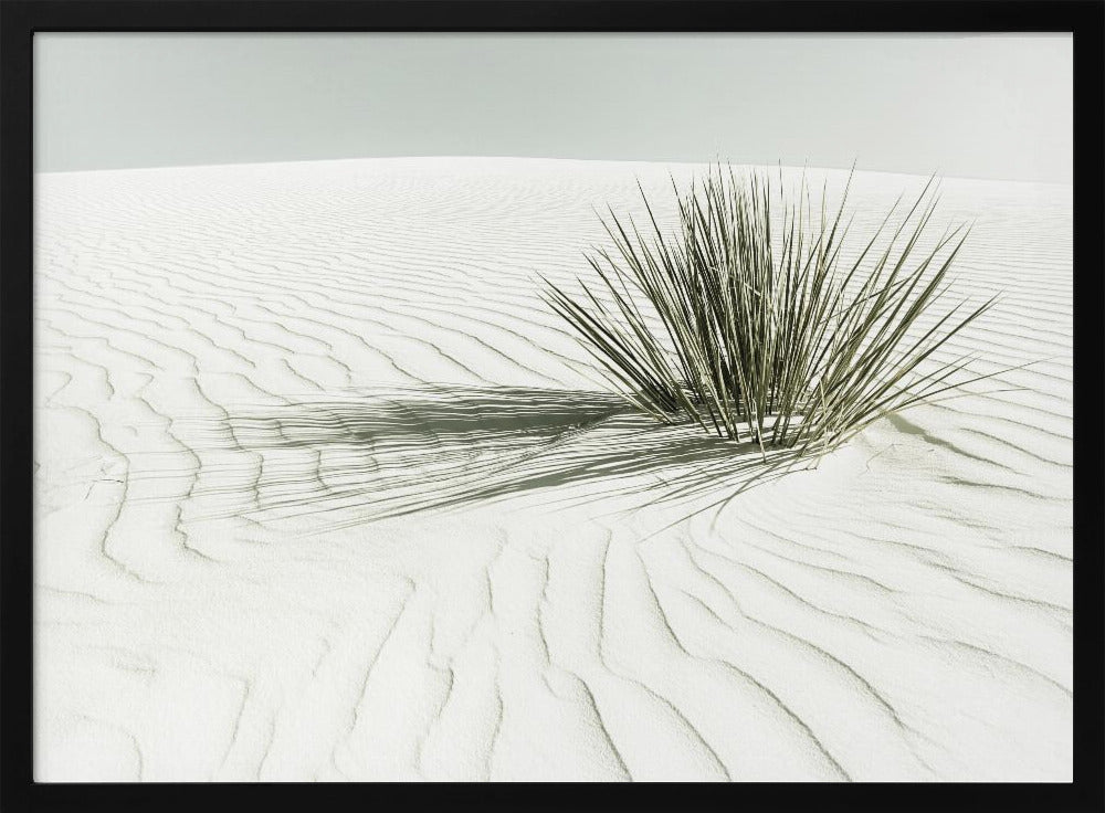 WHITE SANDS Vintage Dune | Poster
