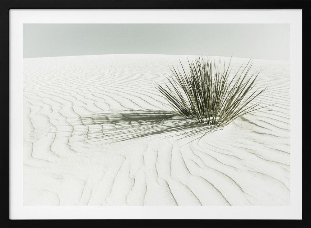 WHITE SANDS Vintage Dune | Poster