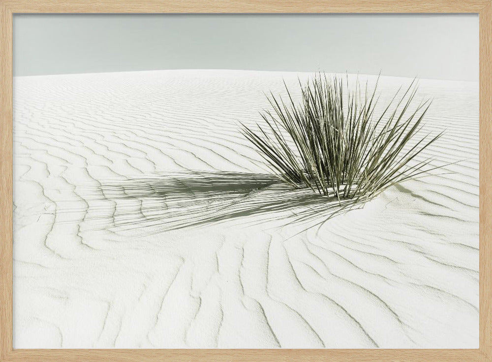 WHITE SANDS Vintage Dune | Poster