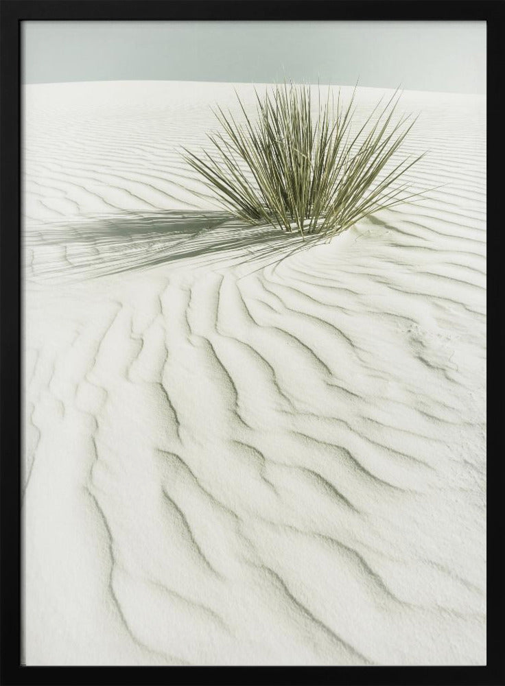 WHITE SANDS Idyllic vintage scenery | Poster