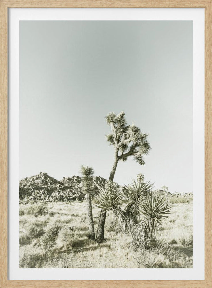 Joshua Tree National Park Vintage Impression | Poster