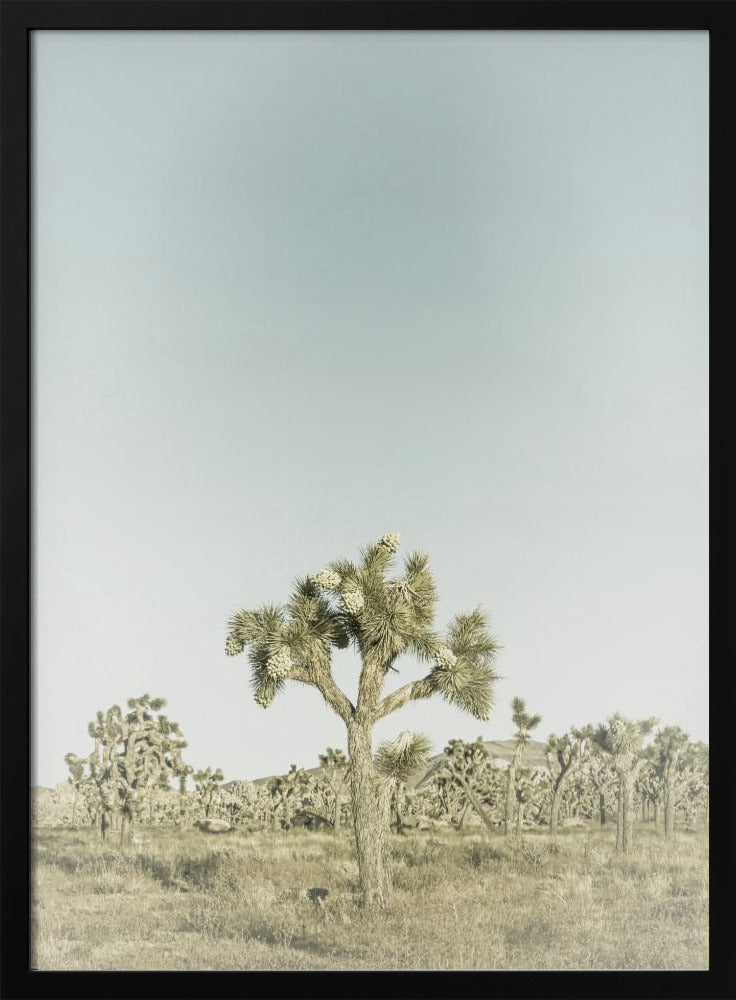 Vintage Joshua Tree National Park | Poster