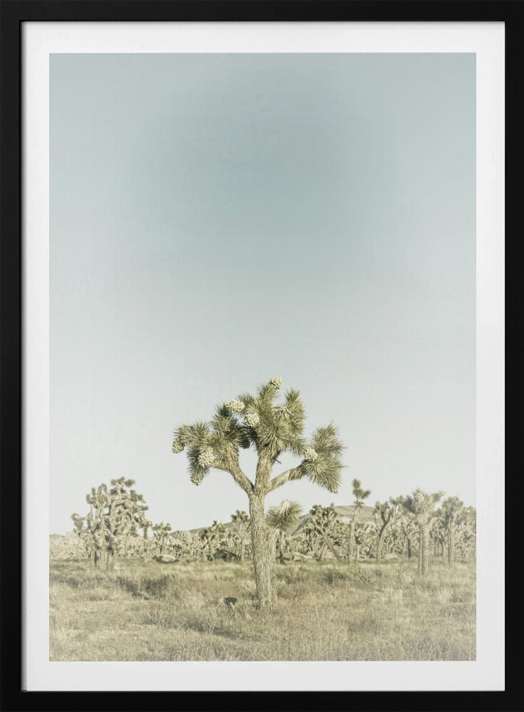 Vintage Joshua Tree National Park | Poster