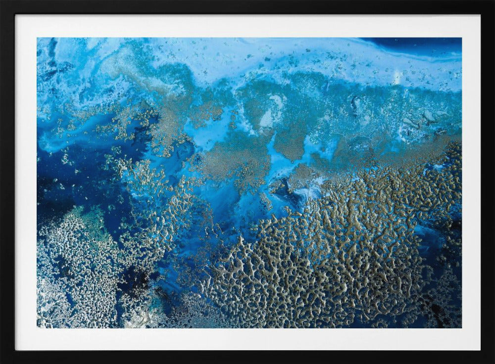 Coastal art - Revitalize | Poster