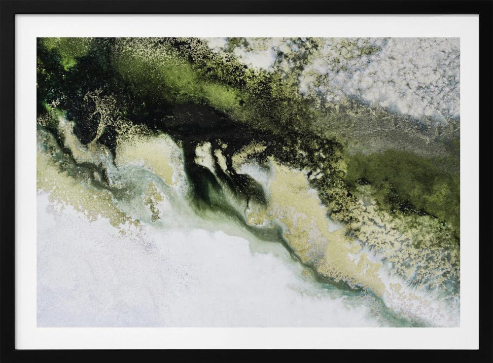 Wonders of the Wild Tif | Poster