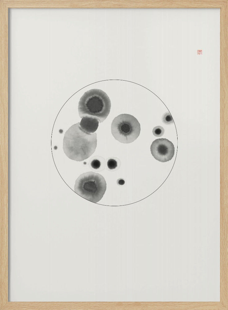 Petri Dish | Poster