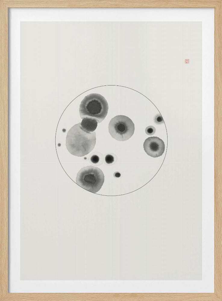 Petri Dish | Poster