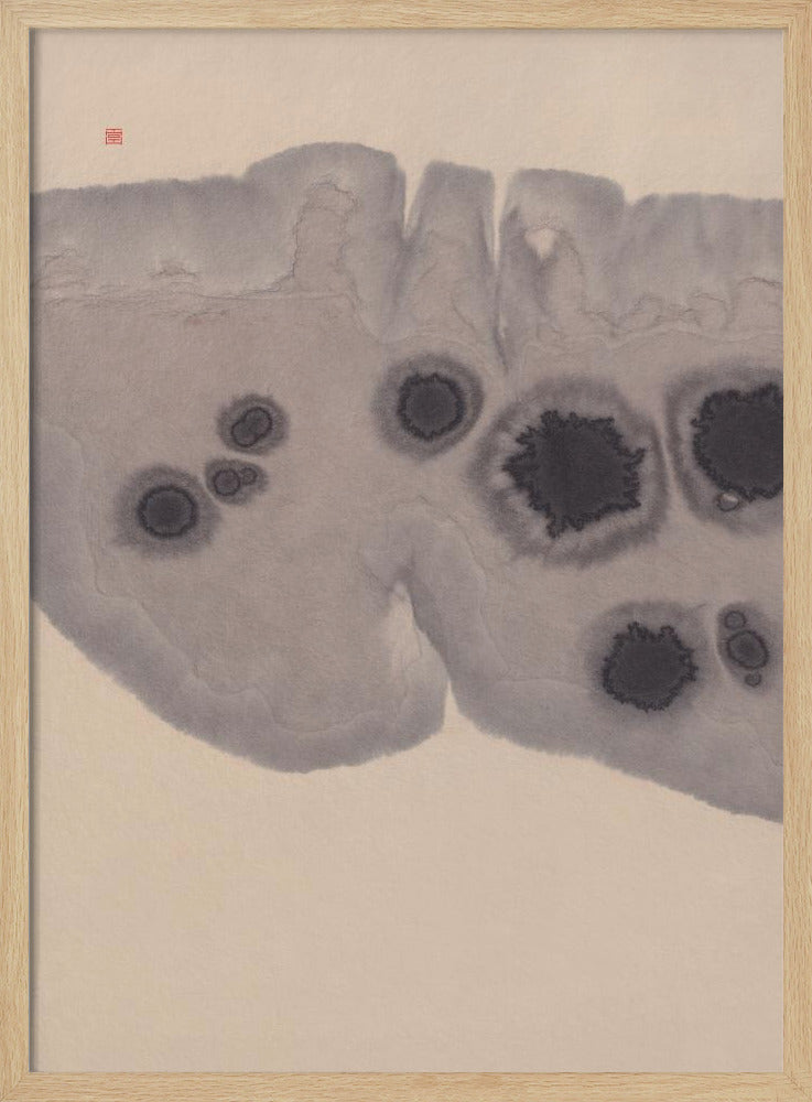 Study N°7 | Epidermis | Poster