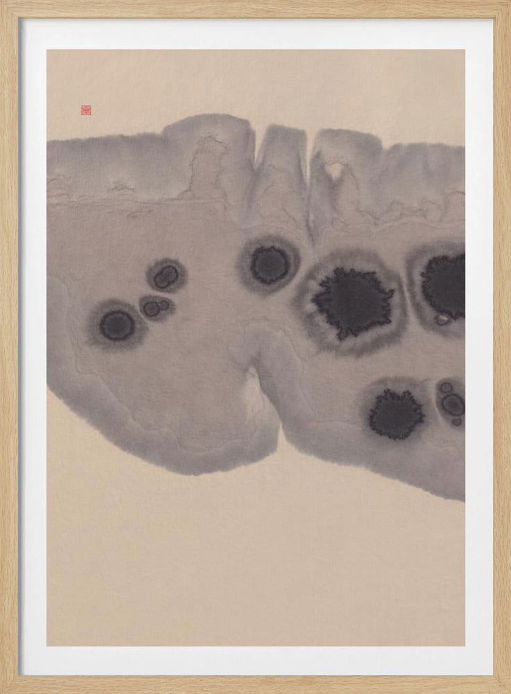 Study N°7 | Epidermis | Poster