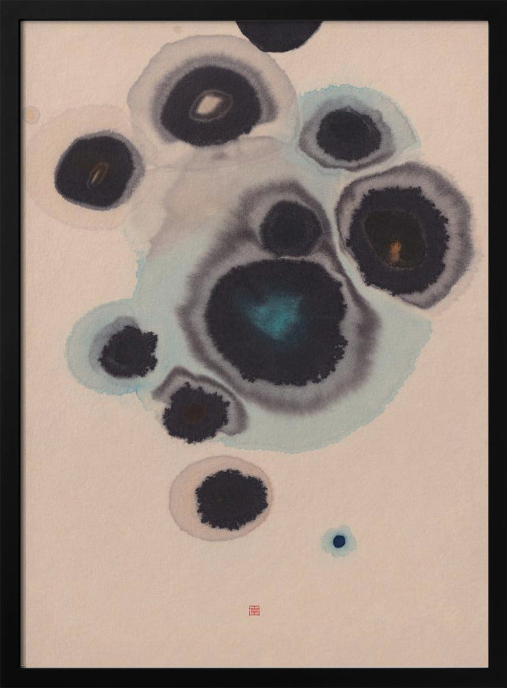 Study N°10 | Living Stones | Poster