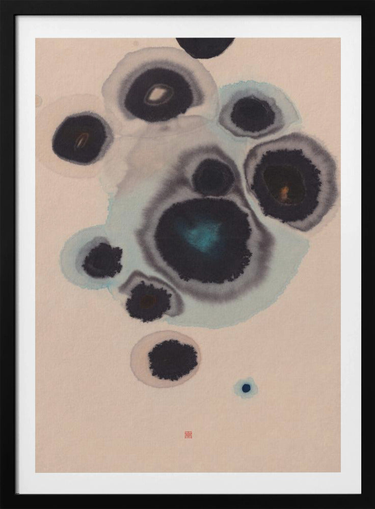 Study N°10 | Living Stones | Poster