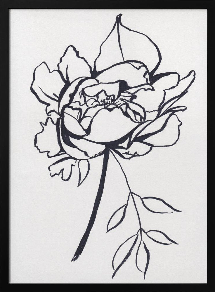 Black and White Peony Small | Poster
