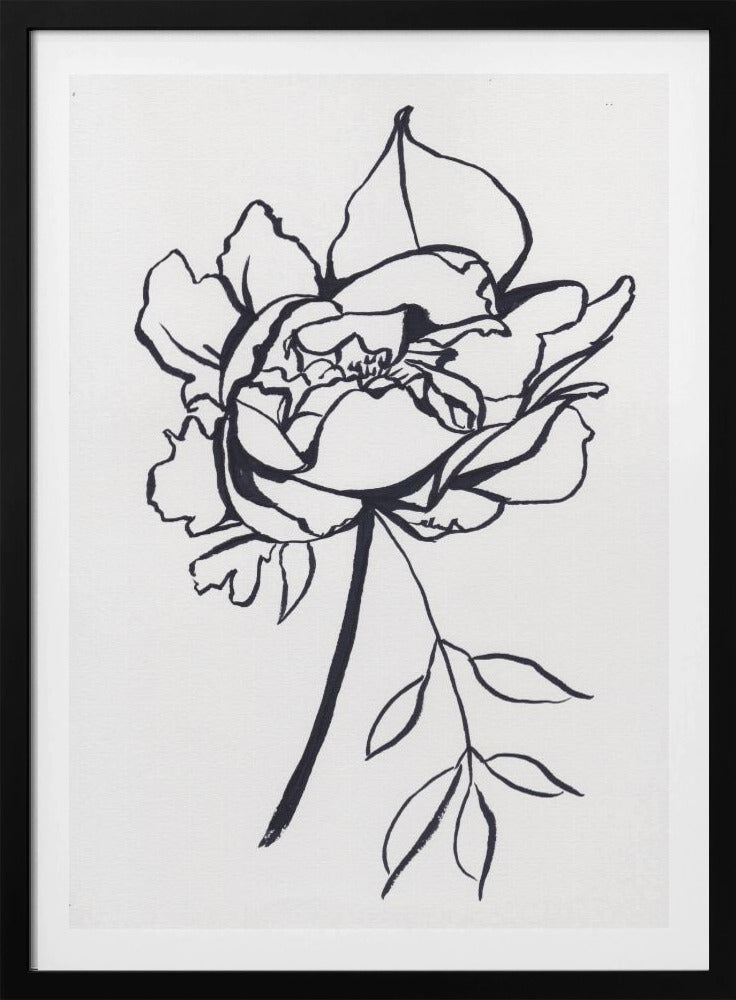 Black and White Peony Small | Poster